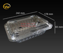 Hộp Nhựa 2015 - P1000C / Hộp Nhựa Đựng Trái Cây