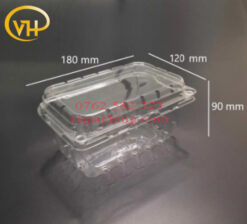 Hộp Nhựa P500B (500g)