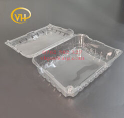 Hộp Nhựa P500CX Đựng Trái Cây, Rau Củ Quả